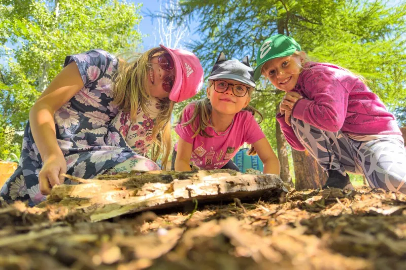 Urban Nature Camp at the Museum