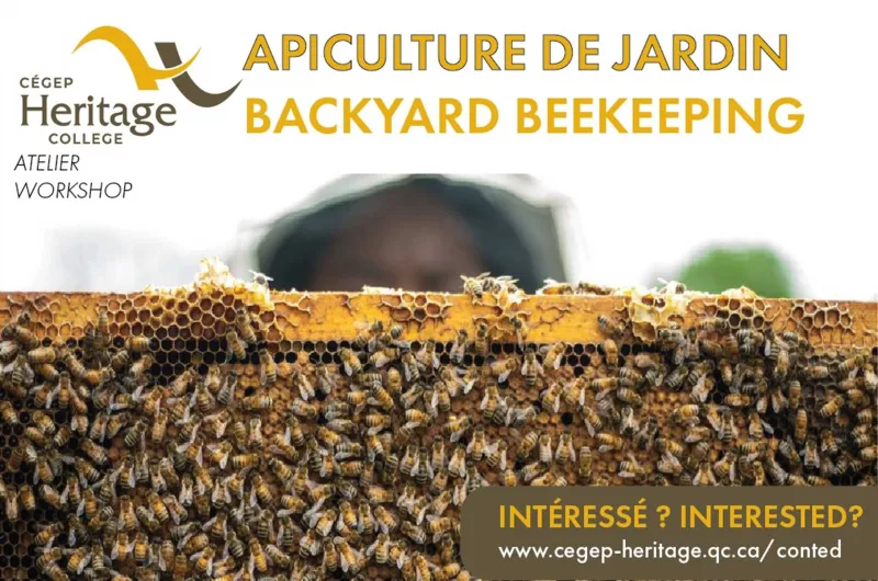 Atelier d'apiculture de jardin