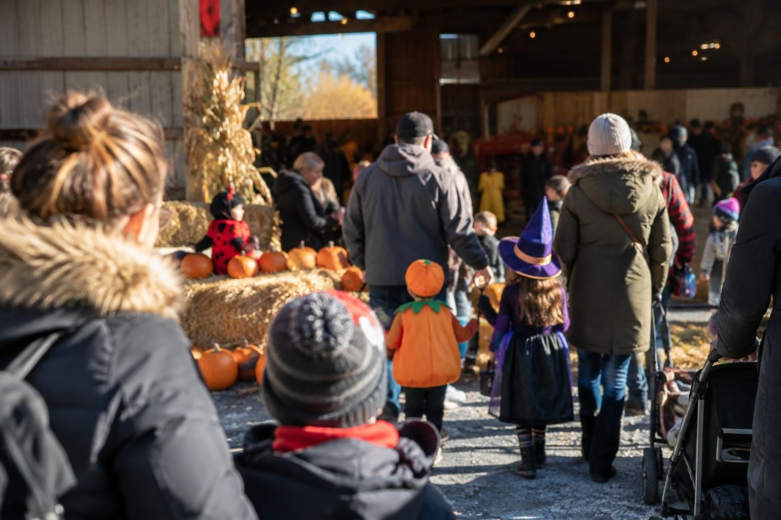 Halloween Costume Party on the Farm
