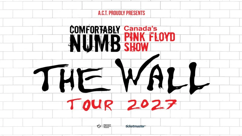 Comfortably Numb - Canada's Pink Floyd Show
