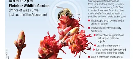 Ottawa Pollinator Appreciation Day