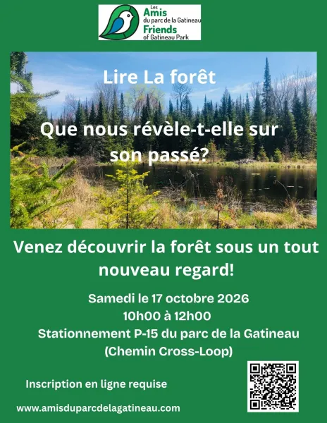 Lire La forêt - comment le passé a-t-il façonné le paysage?