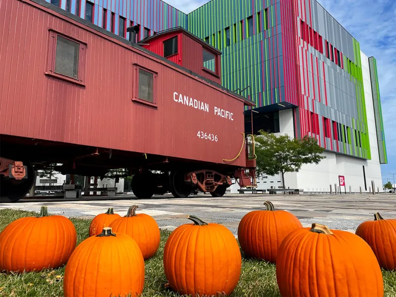 Halloween fun at the museum
