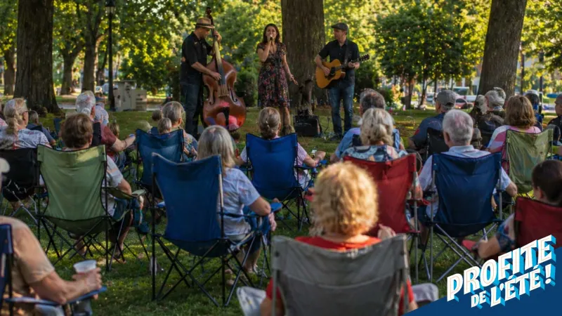 Musiques sous les arbres