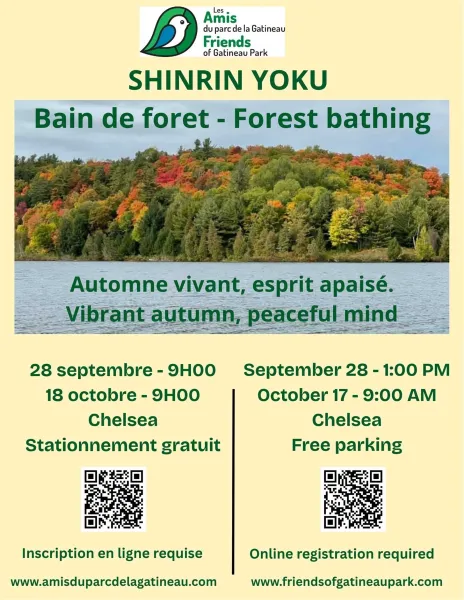 Shinrin Yoku - Bain de forêt