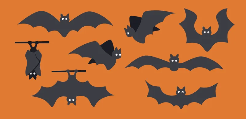 Chasse aux chauvesouris!