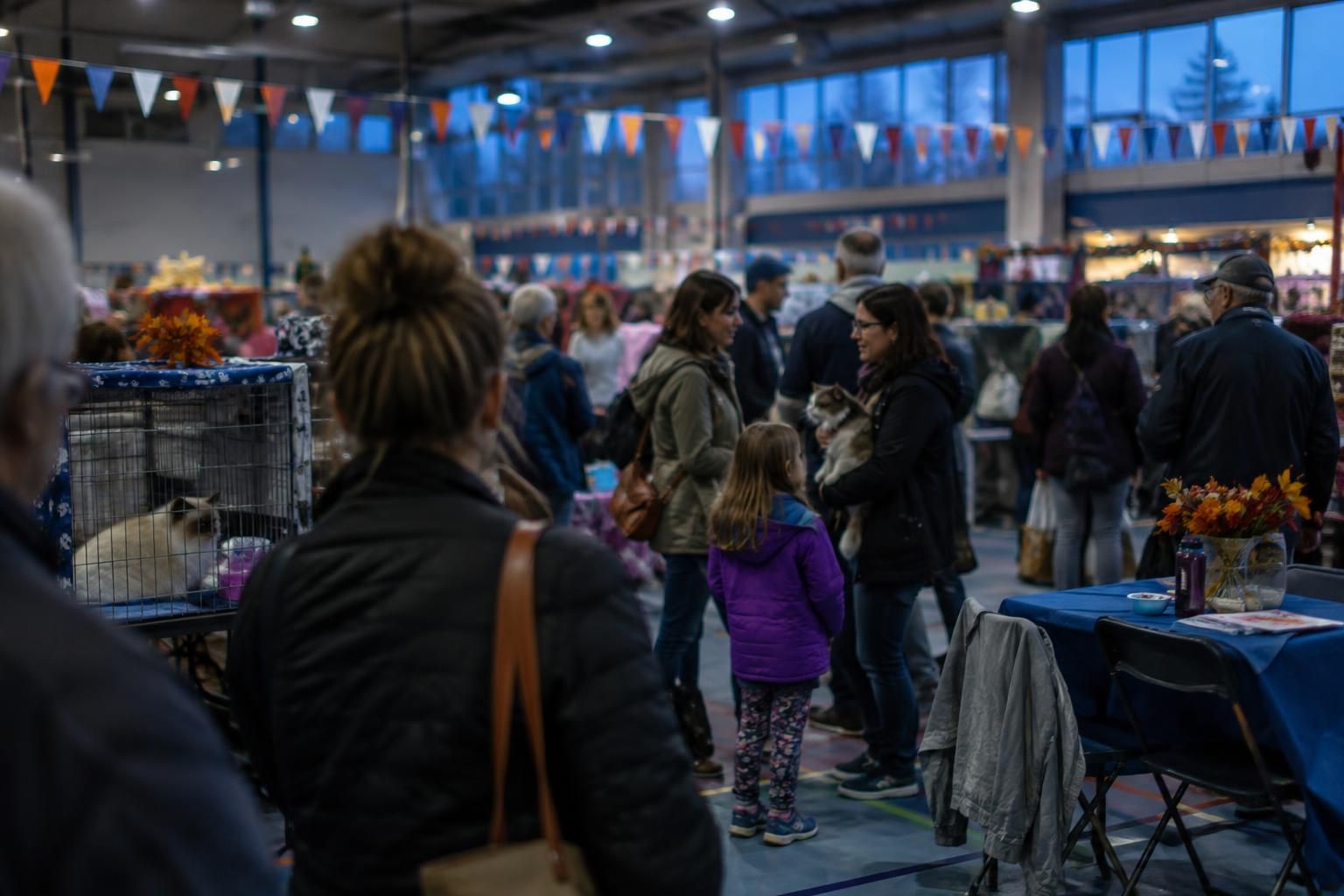Ottawa Cat Show