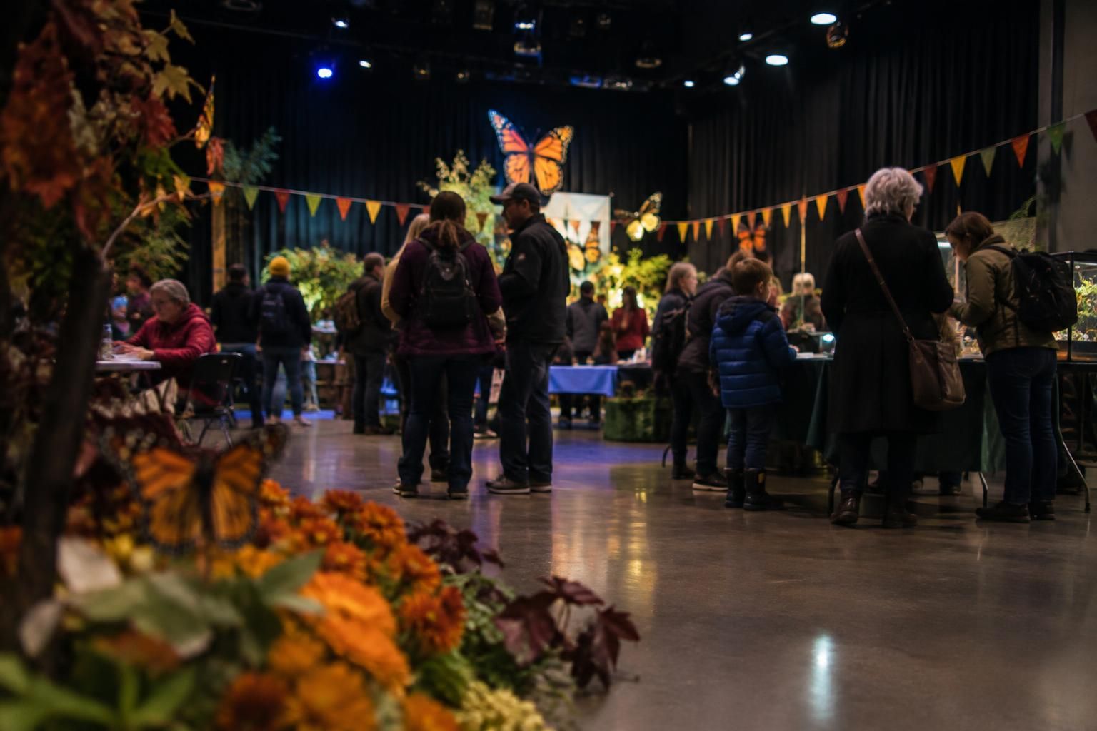 Annual Biology Butterfly Show