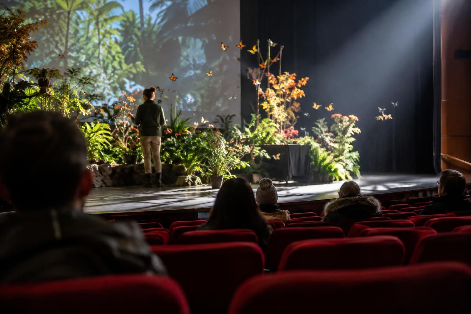 Carleton University Butterfly Show
