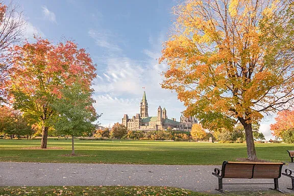 Fall Rhapsody