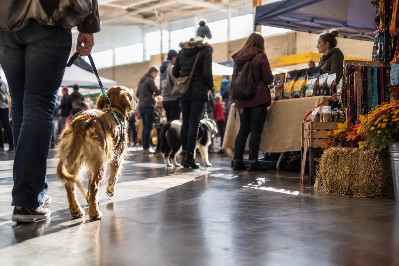 Fetch Local Markets