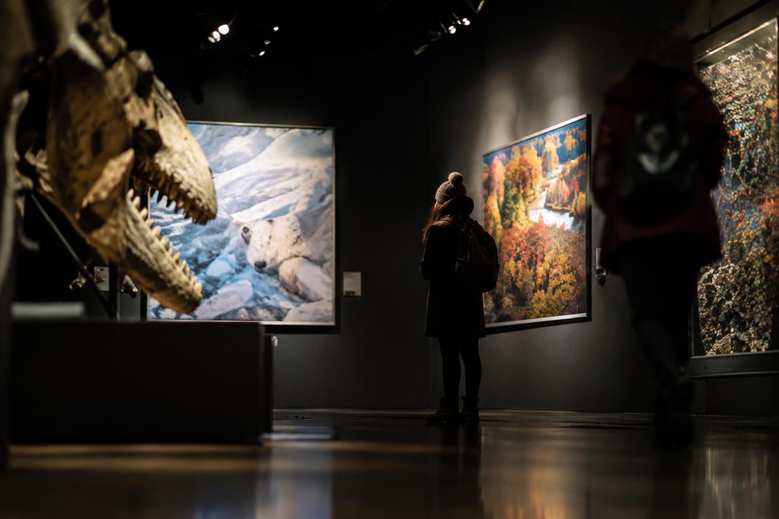 Free Open House: Discover the Canadian Museum of Nature’s Hidden Collections 