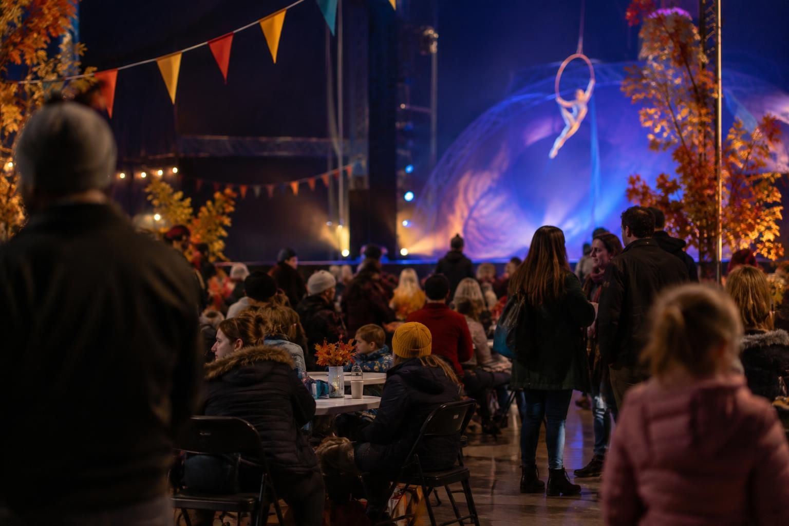 Cirque du Soleil’s LUZIA