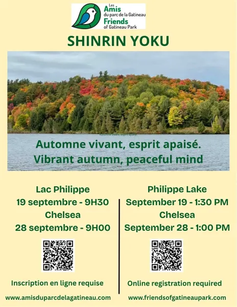 Shinrin Yoku - Bain de forêt