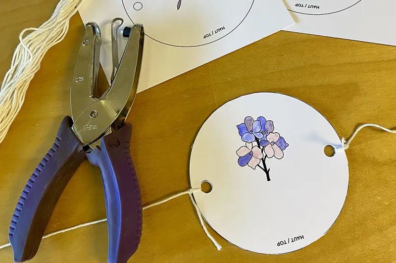 Thaumatrope : Créez votre propre jouet optique