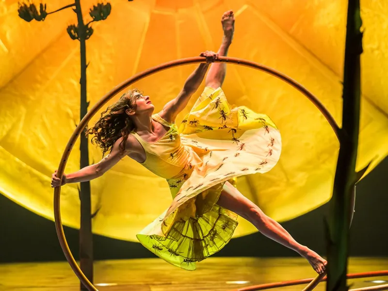 Science of Cirque