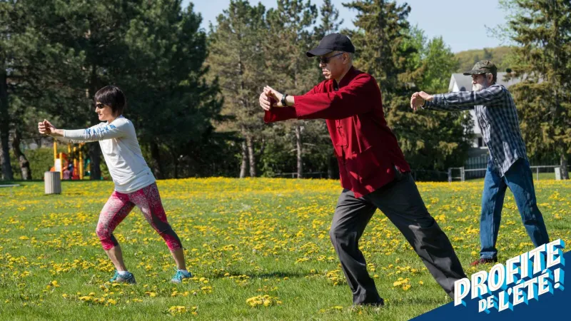 Tai Chi Qi Gong