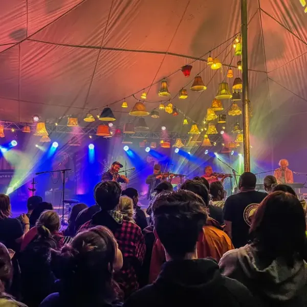 Festival Ripon trad