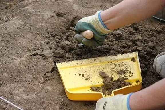 Public Archaeological Digs