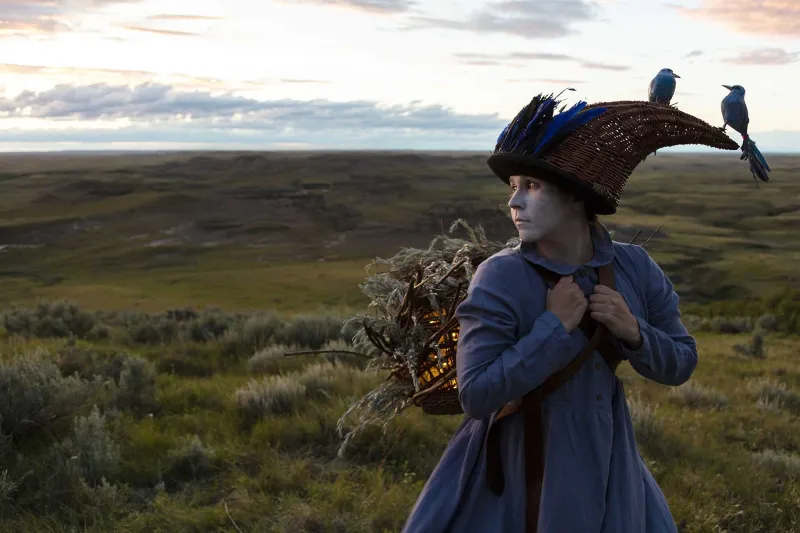Exposition | anima askiy pihcâyihk kiyânaw [The Land Within Us | Le territoire qui nous habite]