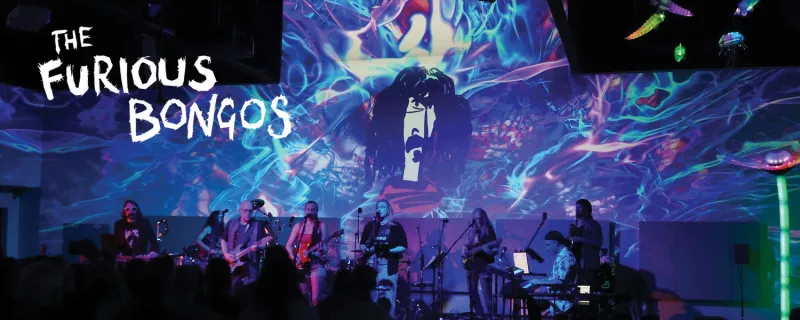 The Furious Bongos (Frank Zappa Tribute)