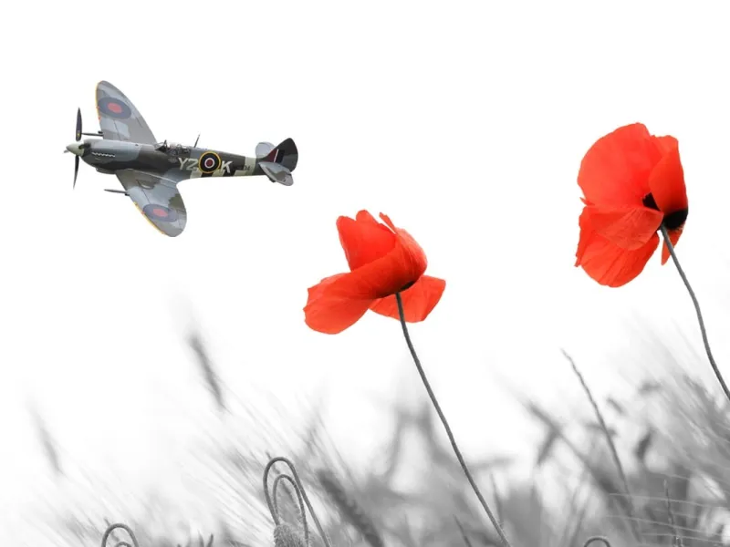 Remembrance Week